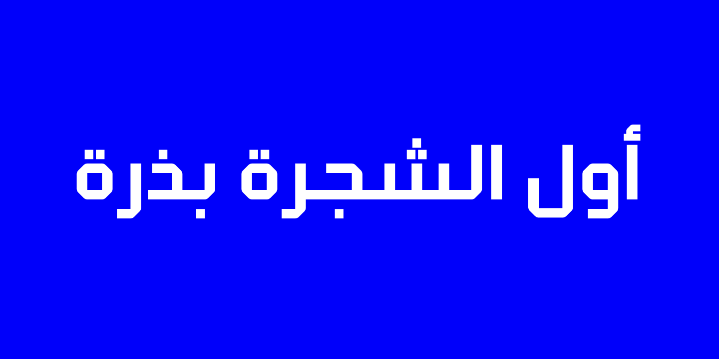 Пример шрифта Klapt Arabic #13